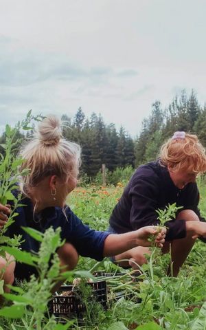 a wwoofer and a host