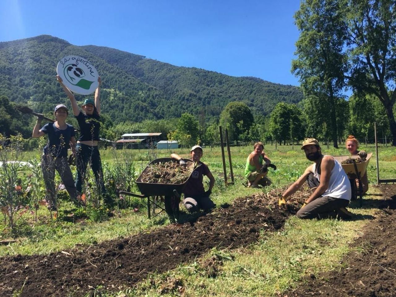 WWOOF Chile: Organic Farm Living & Learning Experiences